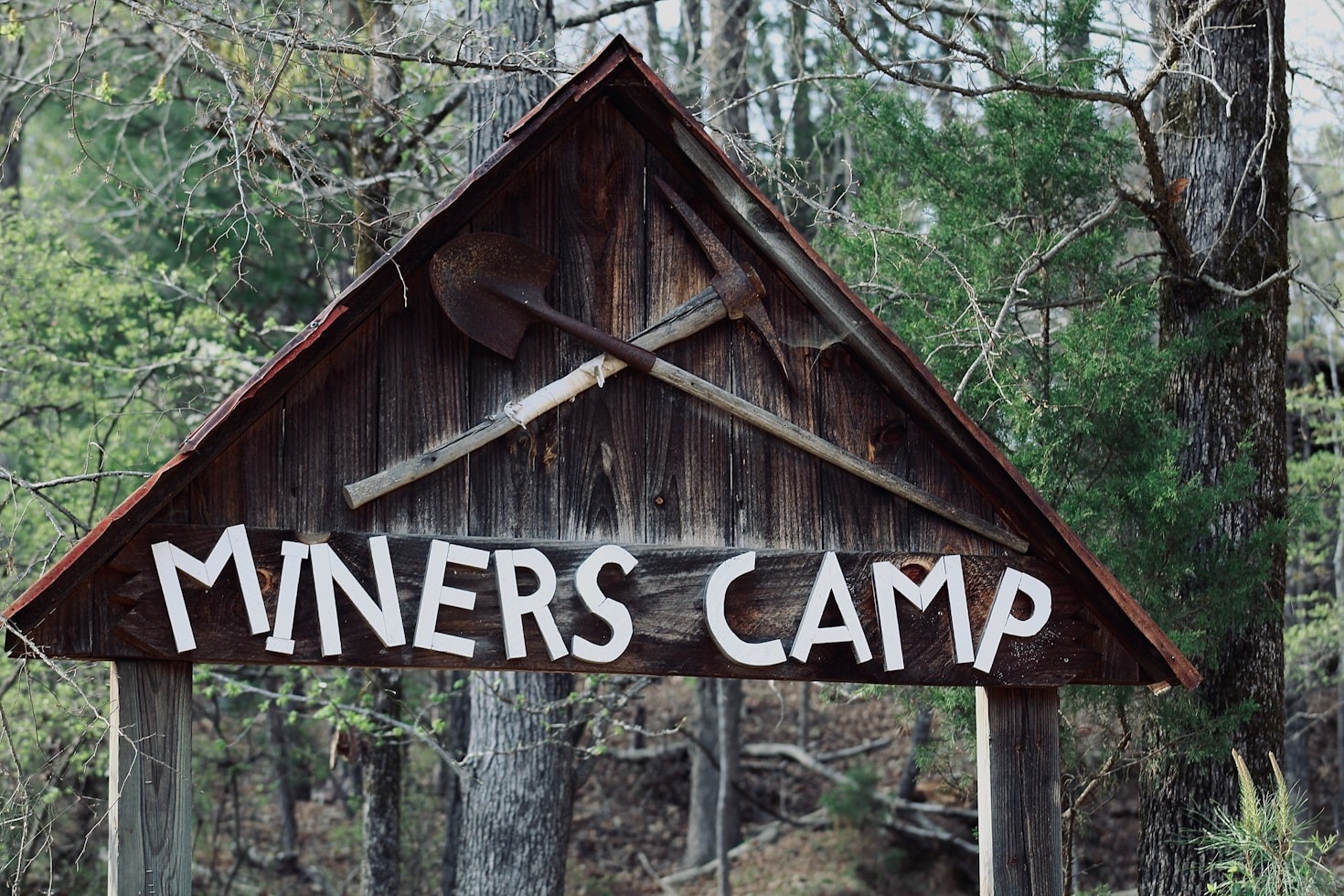Casos de éxito en Leap Immersion Camps